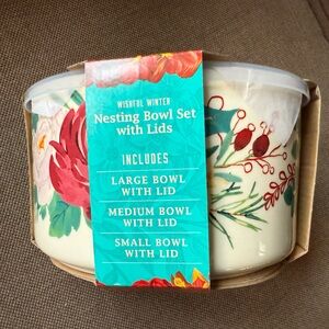 Pioneer Woman Christmas Wishful Winter Nesting Bowl Set with Lids